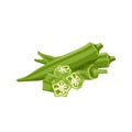 Fresh vegetable Ladies finger or Okra isolated vector in white background Royalty Free Stock Photo