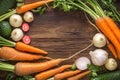 Fresh vegetable medley carrot, garlic, kohlrabi, onion, celery, cucumber, parsnip, radish Royalty Free Stock Photo