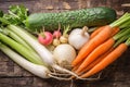 Fresh vegetable medley carrot, garlic, kohlrabi, onion, celery, cucumber, parsnip, radish Royalty Free Stock Photo