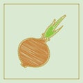 Fresh Vegetable Onion isolated icon. Onion for farm market, vegetarian salad recipe design. Royalty Free Stock Photo