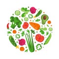 Fresh Vegetable with Ripe Harvested Agricultural Crop Vector Circle Arrangement