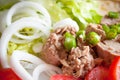 Fresh vegetable salad with canned tuna and tomatoes and a little green chili Royalty Free Stock Photo