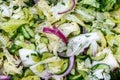 Fresh vegetable salad: Chinese cabbage, cucumbers, red onions, herbs and vegetable oil. Royalty Free Stock Photo