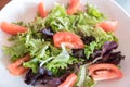 Fresh vegetable salad close up Royalty Free Stock Photo