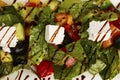 Fresh vegetable salad close-up macro photo Royalty Free Stock Photo