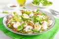 Fresh vegetable salad with cucumber, radish, lettuce and boiled eggs closeup Royalty Free Stock Photo