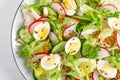 Fresh vegetable salad with cucumber, radish, lettuce and boiled eggs. Helathy food. Top view Royalty Free Stock Photo