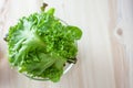 Fresh vegetable salad with green oak being prepared before cooking Royalty Free Stock Photo