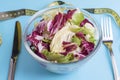 Fresh vegetable salad leaves in a glass bowl with a fork and knife, isolated on a blue background close-up Royalty Free Stock Photo