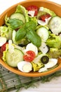 Fresh vegetable salad on plate Royalty Free Stock Photo