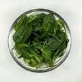 Fresh vegetable salad plate. Step 1 - spring mix. Royalty Free Stock Photo