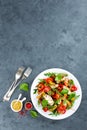 Fresh vegetable salad plate of tomatoes, spinach, pepper, arugula, chard leaves and grilled chicken breast. Fried chicken meat, fi Royalty Free Stock Photo