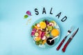 Fresh vegetable salad with red cabbage, cucumber, radish, carrots, sweet peppers, red onion and parsley Royalty Free Stock Photo