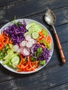 Fresh vegetable salad with red cabbage, cucumber, radish, carrots, sweet peppers, red onion and parsley on a white plate. Royalty Free Stock Photo