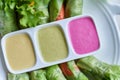 Fresh vegetable salad roll with three Colorful salad dressing Royalty Free Stock Photo