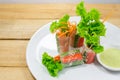 Fresh vegetable salad rolls in a tube noodles on a plate. Royalty Free Stock Photo