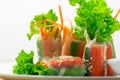 Fresh vegetable salad rolls in a tube noodles on a plate. Royalty Free Stock Photo