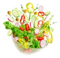 Fresh vegetable salad in transparent bowl with flying ingredients isolated on white. Royalty Free Stock Photo