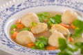 Fresh vegetable soup with chicken dumplings Royalty Free Stock Photo