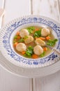 Fresh vegetable soup with chicken dumplings Royalty Free Stock Photo