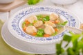 Fresh vegetable soup with chicken dumplings Royalty Free Stock Photo