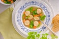 Fresh vegetable soup with chicken dumplings Royalty Free Stock Photo