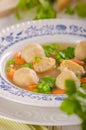 Fresh vegetable soup with chicken dumplings Royalty Free Stock Photo