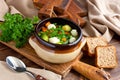 Vegetable soup with carrot, cauliflower, parsley,  Brussels sprouts and beans  over rustic wooden background Royalty Free Stock Photo