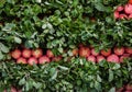 Fresh Vegetable stack at market for sale