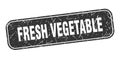 fresh vegetable stamp. fresh vegetable square grungy isolated sign. Royalty Free Stock Photo