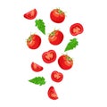 Fresh vegetable tomato falling with cut pieces and leaves vector