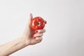 Fresh vegetable tomato in woman hand, fingers with red nails manicure, isolated on white background, healthy lifestyle concept. Royalty Free Stock Photo