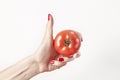 Fresh vegetable tomato in woman hand, fingers with red nails manicure, isolated on white background, healthy lifestyle concept. Royalty Free Stock Photo