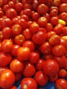 Fresh Vegetable Tomatoes in the market. Closeup view