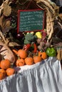 Fresh Vegetable Vendor