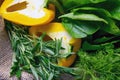 Fresh vegetable on wooden background. Cabbage, pepper, green onion, avocado, dill and parsley. Top views, close-up Royalty Free Stock Photo