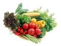 Fresh vegetables Royalty Free Stock Photo