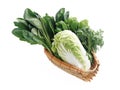 Fresh vegetables Royalty Free Stock Photo