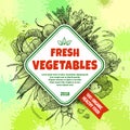 Fresh vegetables banner concept. Hand drawn vegetables set.