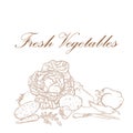 Fresh vegetables banner