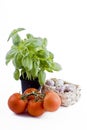 Fresh vegetables - basil, tomatoes, garlic basket