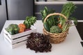 Fresh vegetables basket and box picked in the garden on kitchen table. Royalty Free Stock Photo