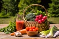 Fresh vegetables in a basket and tomato juice over green nature background Royalty Free Stock Photo