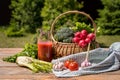 Fresh vegetables in a basket and tomato juice over green nature background Royalty Free Stock Photo