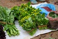 Fresh vegetables are being sold at Can Cau Market, Simacai Town, Lao Cai, Vietnam