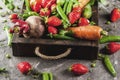 Fresh vegetables, berries, greens and fruits in tray Royalty Free Stock Photo