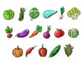 Fresh Vegetables big set collection. Cartoon style. Vector illustration. Royalty Free Stock Photo