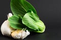 Fresh vegetables: bok choy chinese cabbage and garlic on black background. Healthy food