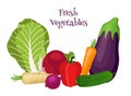 Fresh vegetables - bok choy, eggplant, carrot, cucumber, onion, bell pepper.