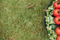 Fresh vegetables in bowl on grass.Copy space. Royalty Free Stock Photo